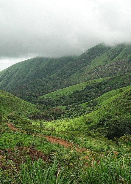 File:Mount Nimba Strict Nature Reserve ...