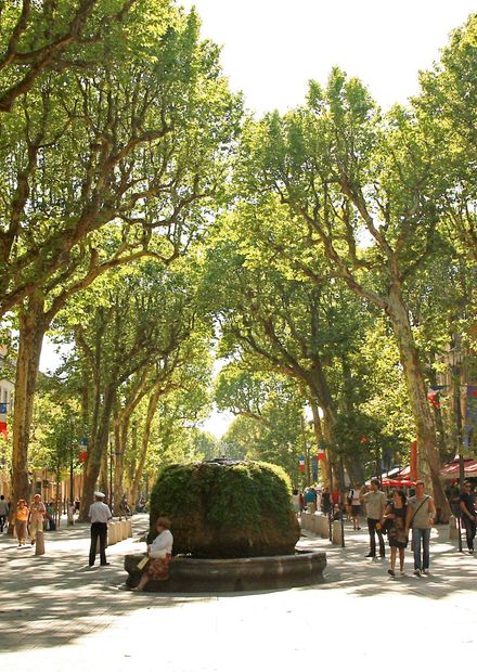Cours Mirabeau, Aix-en-Provence.jpg ...