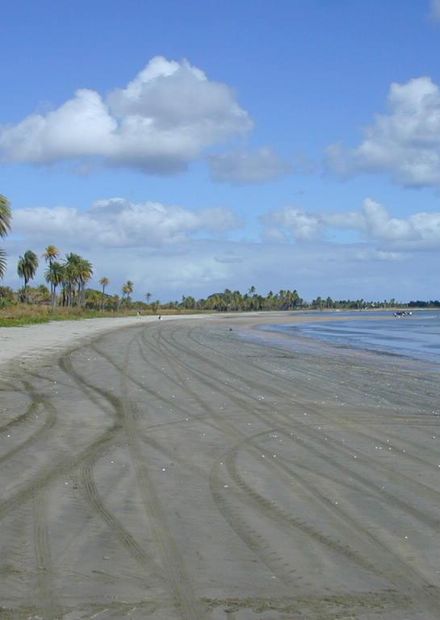 File:Nadi Newtown Beach.jpg - Wikimedia ...