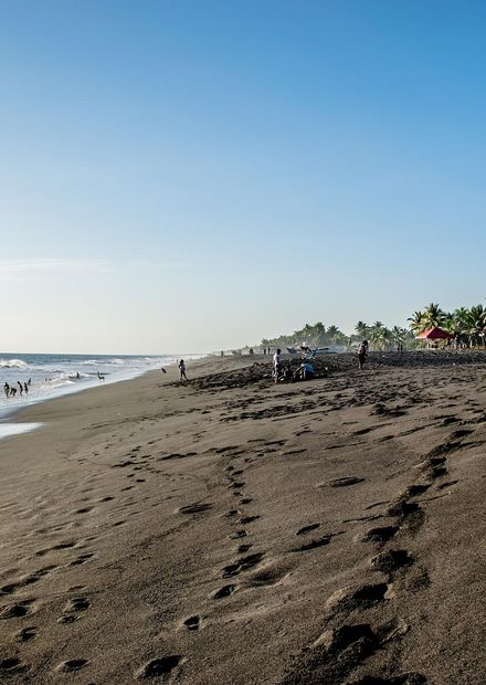 File:Black-sand-beach.jpg - Wikimedia ...