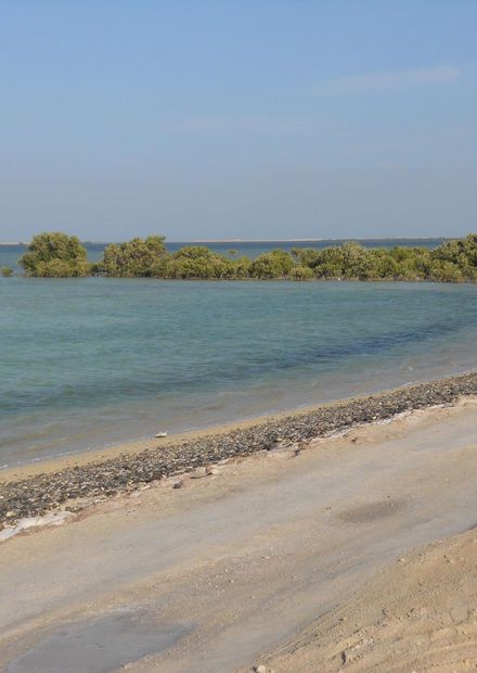 File:Dakhira Beach, Qatar.JPG ...