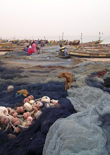 File:Port de peche Nouakchott.jpg ...