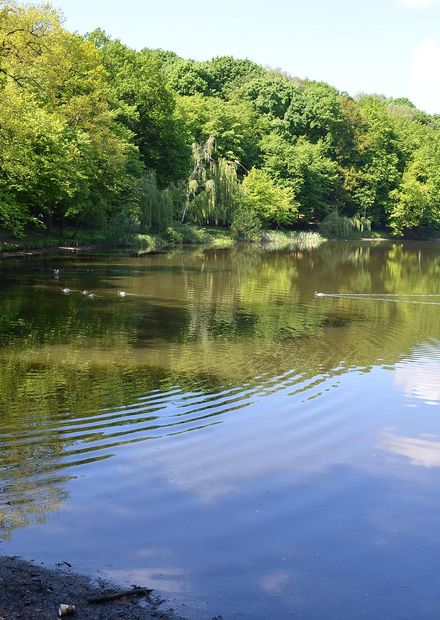 File:Holosiivskyi Park, Kyiv 0001 03 ...