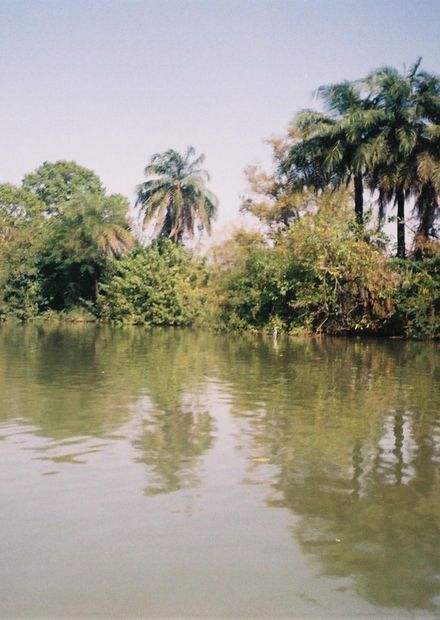 File:Gambia River in Gambia (5).jpg ...