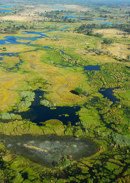 File:Okavango delta - Botswana ...