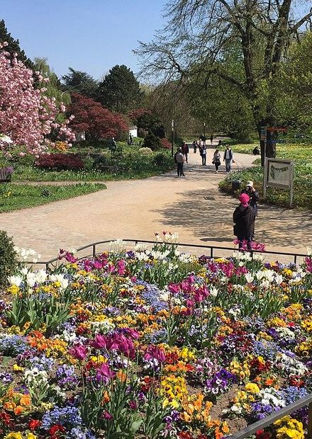 File:Planten un Blomen im Frühling.jpg ...