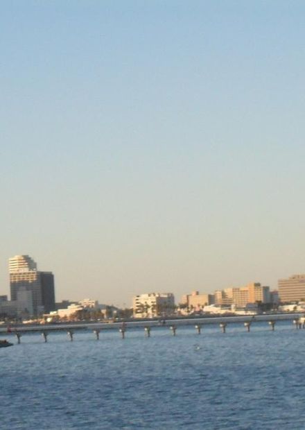 File:Corpus Christi TX skyline.JPG ...