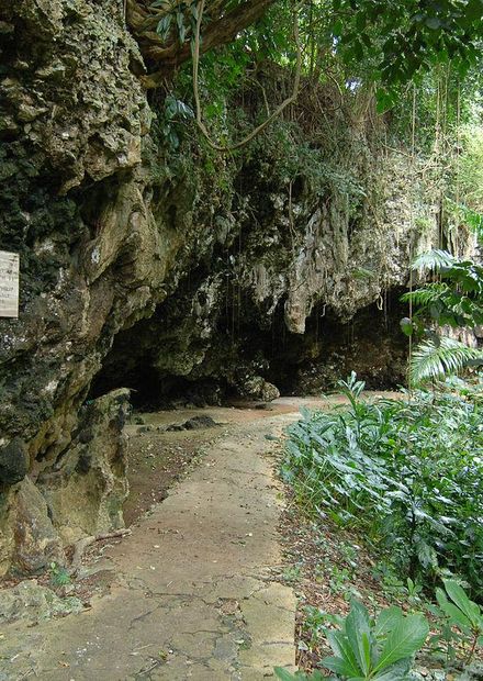 File:WELCHMAN HALL GULLY TROPICAL ...