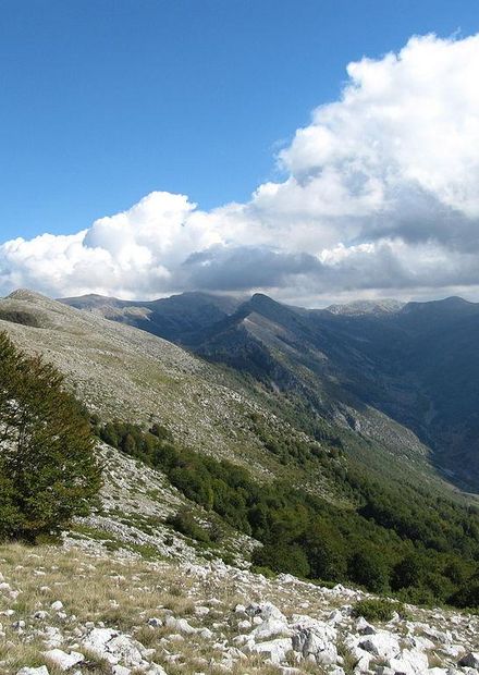 File:Qarrishte.JPG - Wikimedia Commons