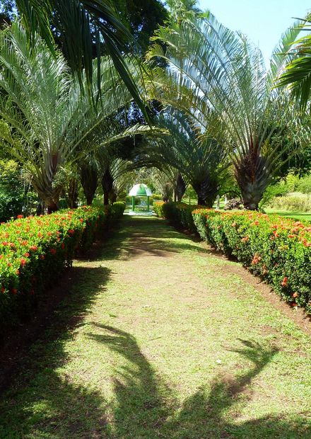 St. Vincent, Karibik - Botanical Garden ...