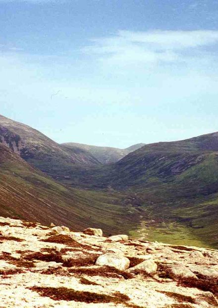 Chaorainn from Derry Cairngorm.jpg ...