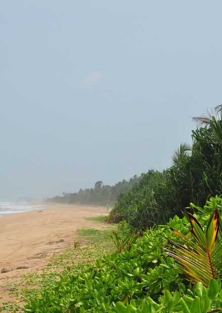 File:Sri Lanka, Bentota, beach (2).JPG ...