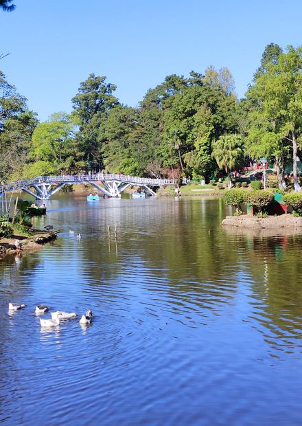 File:Ward's Lake.jpg - Wikimedia Commons