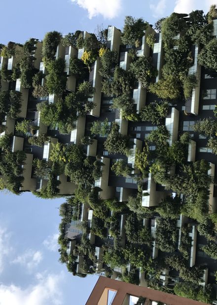 File:Bosco Verticale Milano.jpg - Wikipedia