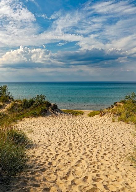 beach, landscape, sea, coast, tree ...