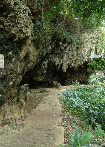 File:WELCHMAN HALL GULLY TROPICAL ...