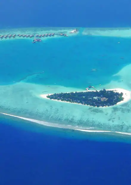 File:Angsana Velavaru (8686220316).jpg ...