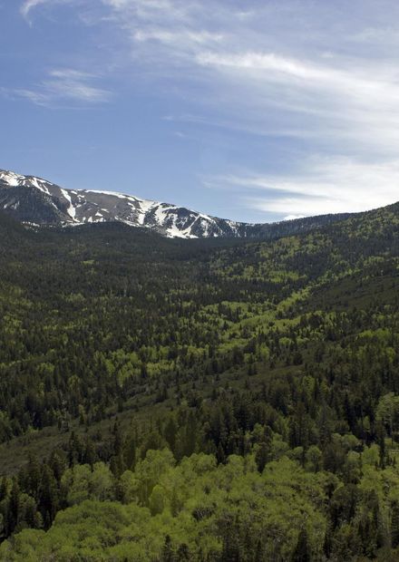 File:Great Basin 01.jpg - Wikimedia Commons
