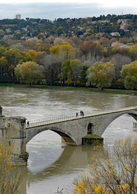 Pont Saint-Benezet Rhone River.jpg ...