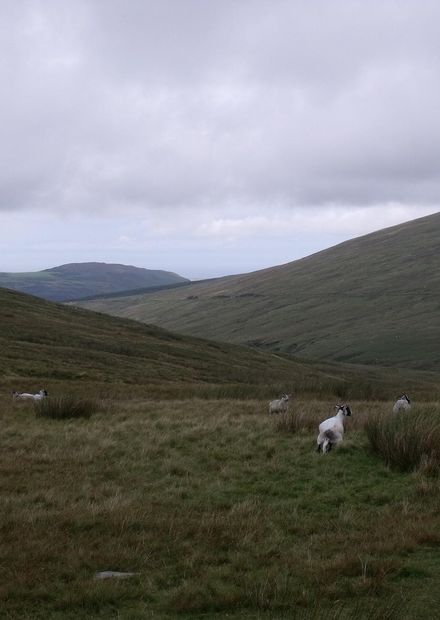 File:IOM Landscape of Snaefell Mountain ...