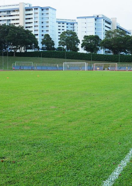 File:Woodlands Stadium Pitch.JPG ...
