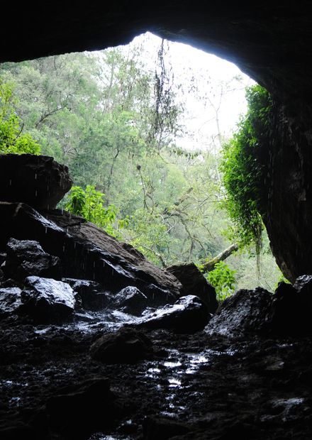 File:Kitum Cave Mount Elgon Kenya.jpg ...