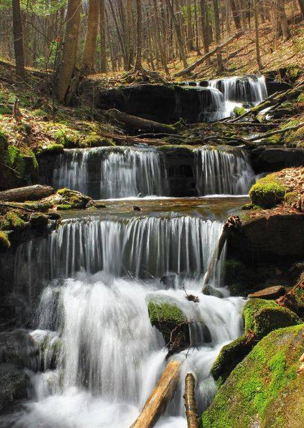 landscape, forest, waterfall, creek ...