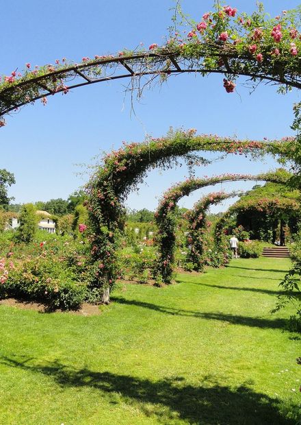 File:Elizabeth Park, Hartford, CT ...