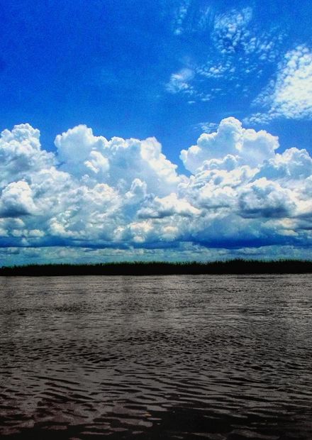 File:Le fleuve logone.jpg - Wikimedia ...