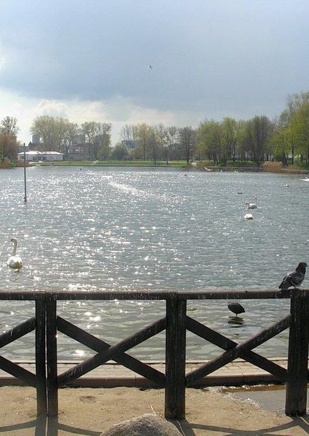 File:Balaton Bydgoszcz 4.jpg ...