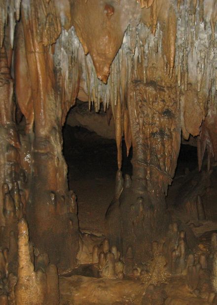 caves at Florida Caverns State Park.JPG ...