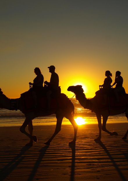 File:Cable Beach Sunset Camel Ride.JPG ...