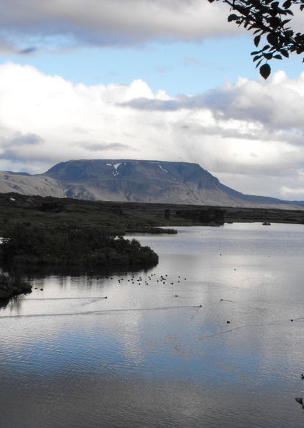 Lake Myvatn - Iceland - panoramio (1 ...