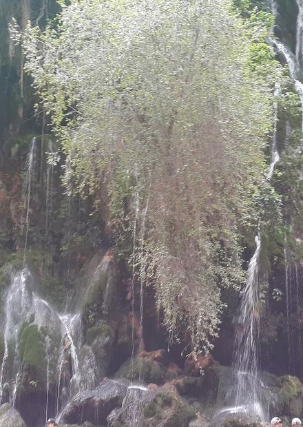File:Cascadas el Vergel.jpg - Wikimedia ...