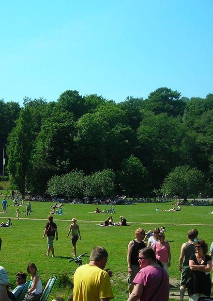 File:Slottskogen1.jpg - Wikimedia Commons