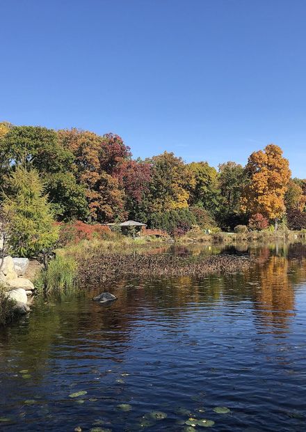 File:Wellfield Botanic Gardens, Elkhart ...