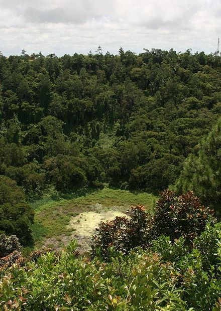Trou aux Cerfs Volcano Mauritius.JPG ...