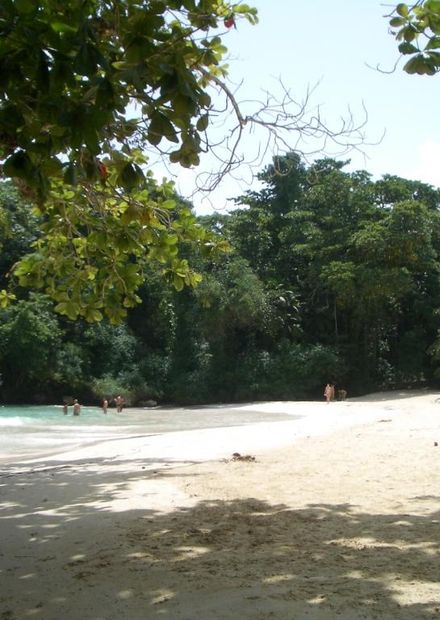 File:Frenchman's cove1.JPG - Wikimedia ...