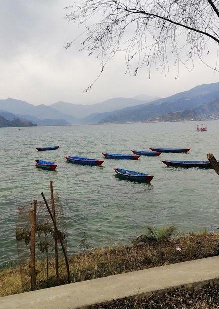 fewa lake located in pokhara, nepal.jpg ...