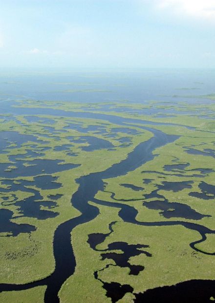 Everglades National Park ...