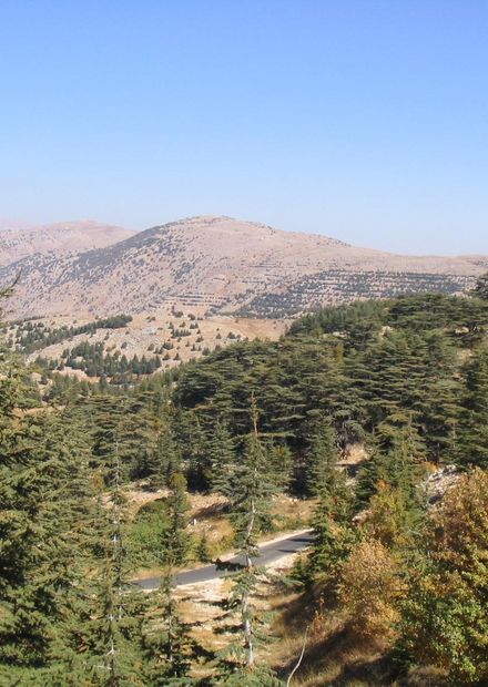 File:Barouk Mountain.JPG - Wikimedia ...