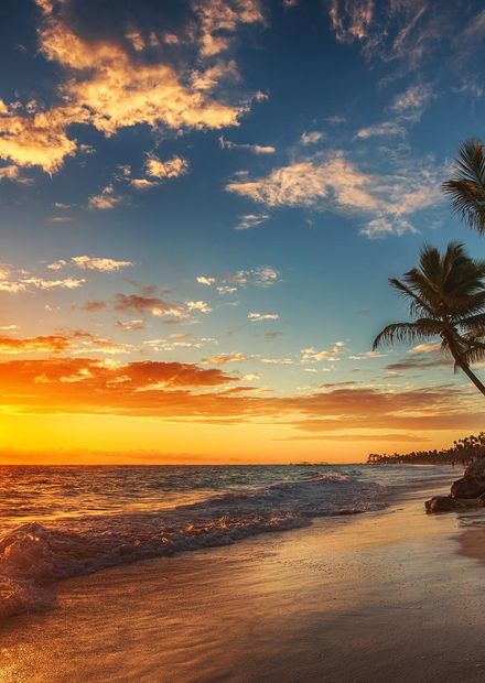 punta, cana, sunrise, beach, dominican ...