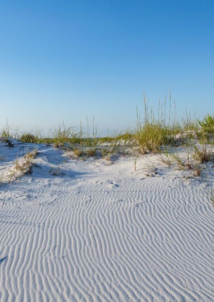 White Sands, Florida Coast (27268946483 ...