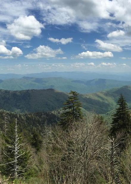 Tennessee River Valley