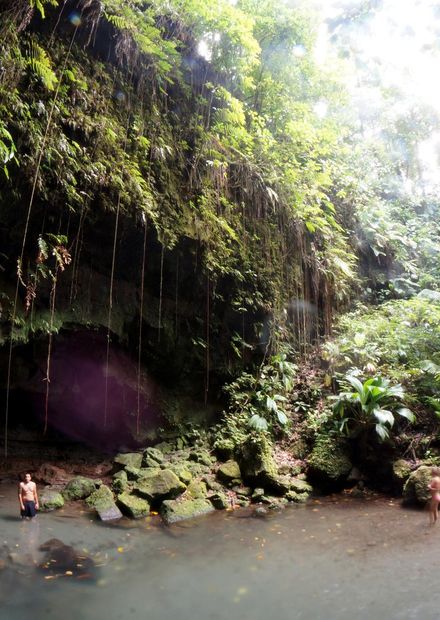 File:Emerald Pool Dominica.JPG ...