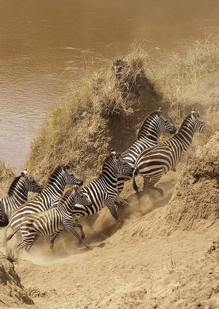 File:Masai Mara National Reserve 20 ...