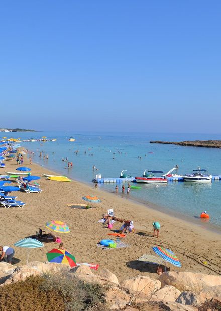 File:Fig Tree Bay.jpg - Wikimedia Commons