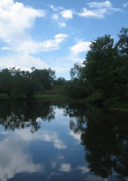 Datoteka:Kopacki rit2.JPG – Wikipedija