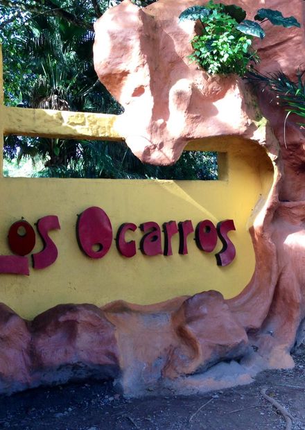 Archivo:Bioparque Los Ocarros.JPG ...