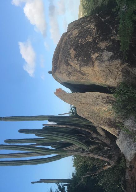 File:Arikok National Park Aruba.jpeg ...